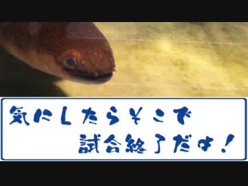るんば！