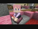 【Minecraft】マイクラでドリクラ！ Vita版私服お披露目なのです。 29杯目