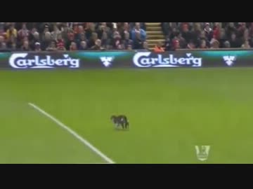 ネッコ 　第24節リバプール×トッテナム