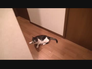 うーちゃん（仮）の喜びの舞