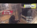 チンパンジー 困った仲間を手助け