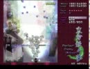 【清美】東方妖々夢　ＥＡＳＹ　魔理沙Ｂ（貫通タイプ）　２／２