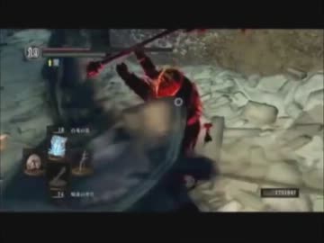 お庭番のダークソウル眷属動画【呪い白とは研修活動】