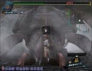 【MHF】剛シェン 非秘伝防具で９ラスタ
