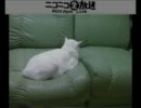 初心＞＜。
