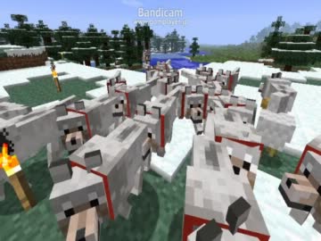 ●狼と暮らすMinecraft●　0わん