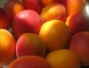 「Apricot Myth」【インストオリジナル】