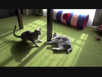 モアレとクリエ 「バトる」