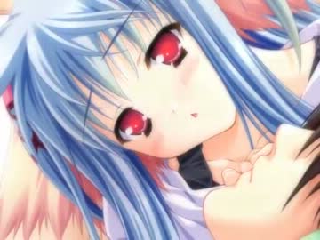 【新エコノミー回避テスト】きしめん【12/02/08】