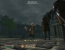 TES4：ReplayFile012