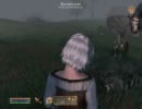 TES4：ReplayFile013