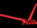 Cica-7