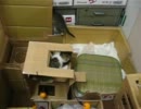 うちのこねこ46：忍法壁抜け!?