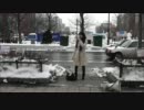 2012.2.5 さっぽろ雪まつり前日！人権侵害救済法案を知ってもらおう！3/3