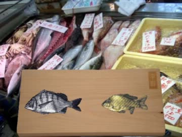 クロダさんとヘラ子さんがびったんびったん