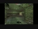 ブログ用　F○ｃｋチーター