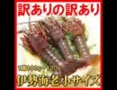 永井兄弟の永井脳レディオ①