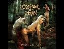 高音質洋楽メタル紹介【366】　Cesspool Of Vermin - Throatfucked By The Incestuous
