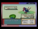 ハスボー１匹でホウエン地方の頂点を目指す旅　～part17～