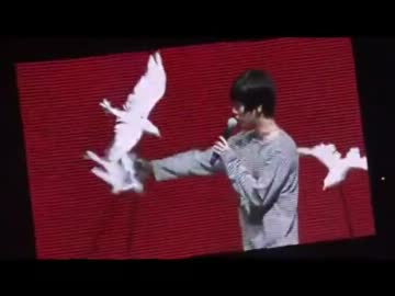 鳩に接する二つの姿勢
