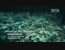 INSOMNIUM - Through The Shadows