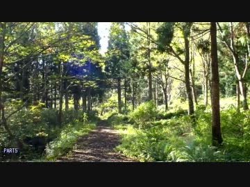 【日本最凶険道】開かずの富山県道54号線＠2011－おまけ【静止画パート】