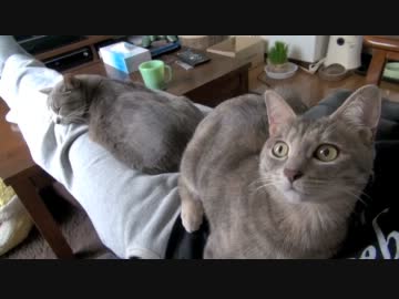 モアレとクリエ 「フリーダム・クリエ」