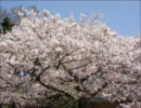 感傷的になりながらも作曲した　～卒業～