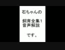 石ちゃんの金魚飼育解説講座６＜飼育全集１　解説＞