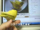 セキセイインコ　ちび　　その後・・・　