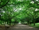 ♪歌ってみた♪　また　あした/Every　Little　Thing