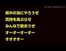 2012　栃木ＳＣ　新チャント　栃木の為に