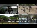複数の動画を1画面で再生