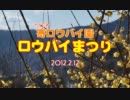 松田町寄ロウバイ園　ロウバイまつり　に行ってきた