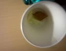 MOV00021.3gp