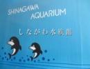 しながわ水族館