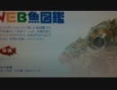 魚バカがさかなクイズに挑戦したようです 　もちょお