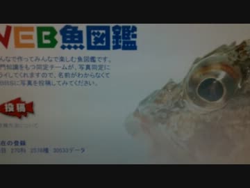 魚バカがさかなクイズに挑戦したようです 　もちょお