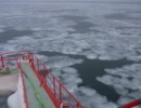 流氷クルーズ２