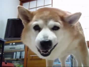 骨とメロンと緑茶（１２年２月１７日）