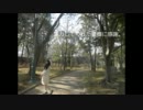 ハロ/ハワユ 【踊ってみた。】