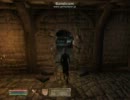 TES4：ReplayFile015