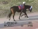 森井美香騎手引退特別特別(パドック)