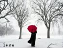 Snow