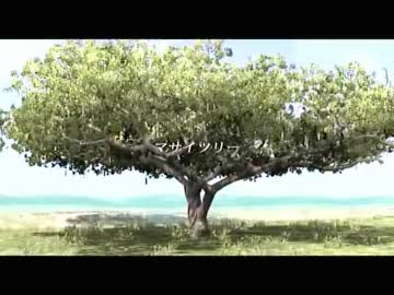 鎌首の『AFRIKA』満喫生活(13)