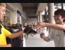 2003年世界大会