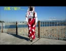 【めろちんさんと】ハッピーシンセサイザを踊ってみた【踊りたくて】