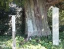チャウのぶらり旅？～姫路の広峰山に行くの巻き（後半）！？～