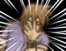 【VIPRPG】 名前を忘れた謎物語　その３