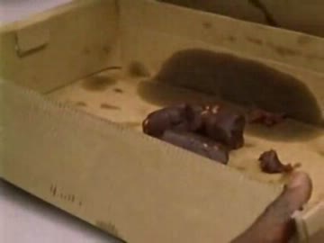 OZ_オズ　第41話「再訪」2_4